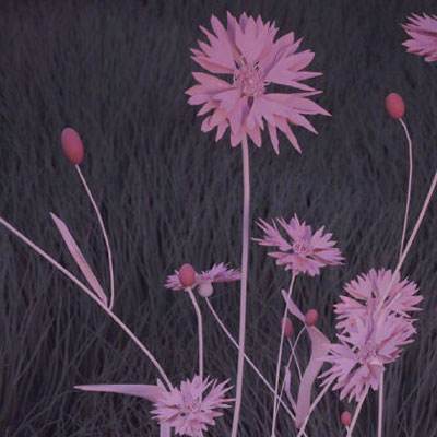 乐鱼体育官网app网页登录